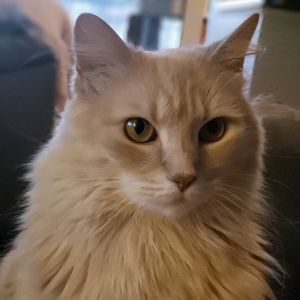 Meet your Posher, Anna